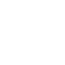PL Partners